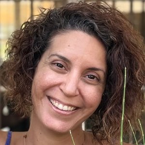 מיכל פולת